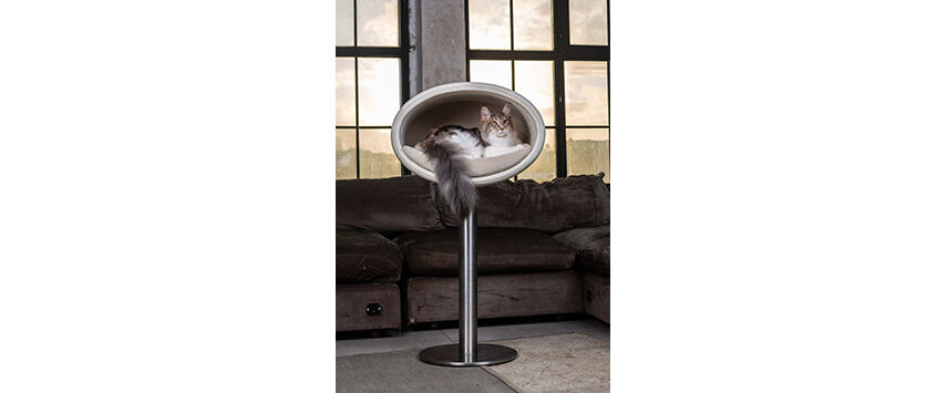 Pet Furniture In Fashion